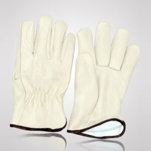 Winter & Dressing - WD-6015