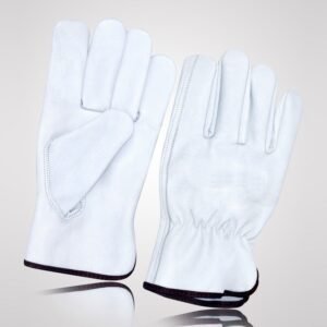 Driving Gloves - DG-5018
