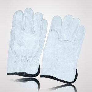 Driving Gloves - DG-5016