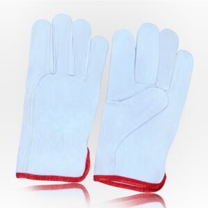 Driving Gloves - DG-5017