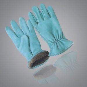 Winter & Dressing - WD-6002