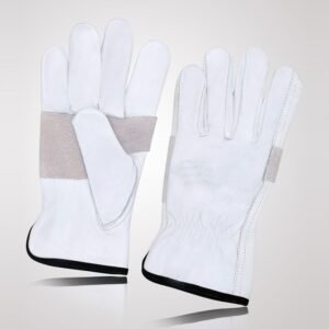 Driving Gloves - DG-5019