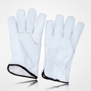 Winter & Dressing - WD-6018