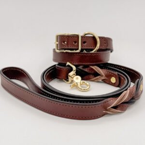 Brown Leather Leash & Collar Set