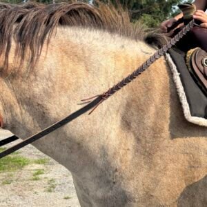Braided Leather Reigns