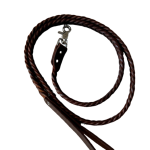 Braided Leather Dog Leash